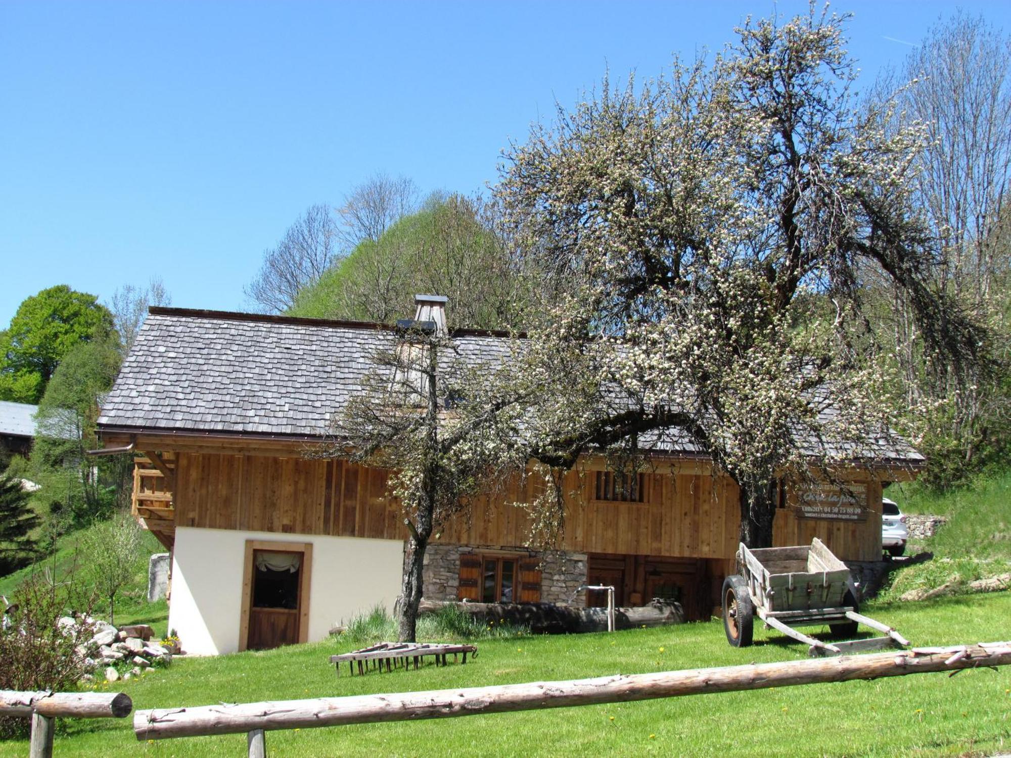 Chez La Fine Bed & Breakfast Les Gets Ngoại thất bức ảnh